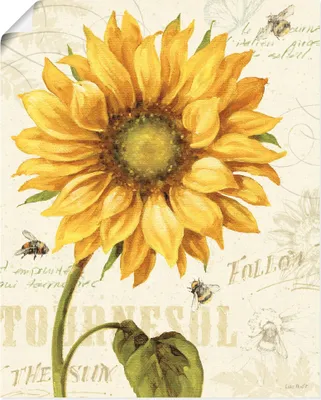 Produktbild von ARTland Poster Under the Sun I Größe: 30x40 cm