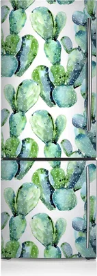 Produktbild von Magnetfolie Aufkleber Kühlschrankmagnete 70x190 cm - Aquarellkaktus.