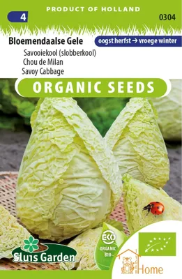 Immagine prodotto di Semi di cavolo giallo Bloemendaalse Slobberkraut – Coltivate cavoli nutrienti e gustosi dal colore giallo unico e ricchi di sostanze nutritive.