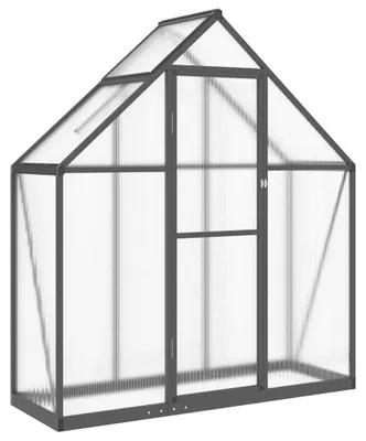Immagine prodotto di vidaXL Serra con telaio di fondazione antracite 169x58x195 cm alluminio