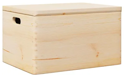Immagine prodotto di vidaXL Scatola di legno con coperchio e maniglie 40x30x23 cm in legno di pino massiccio