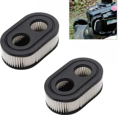 Image de Filtre à air, 593260 798452 Filtre à air de rechange pour tondeuse à gazon, compatible avec les moteurs Briggs & Stratton des séries 4247, 5432, 5432K, 09P000, 550E et 550EX