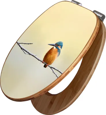 A toilet seat with a kingfisher bird design.