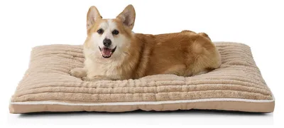 Immagine prodotto di Cuccia per cani, lavabile, color beige, dimensioni 75 x 50 x 7 cm