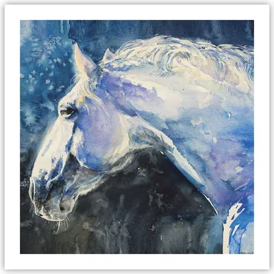 Produktbild von Poster - Poster ohne Rahmen - Pferd Aquarell Porträt - 60x60 cm - Wand Bild - Wanddeko - Wandbilder - Kunstposter - Wandposter - Bilder - Kunstdruck - Wanddekoration - Wandbild - P2XAC60x60-4272