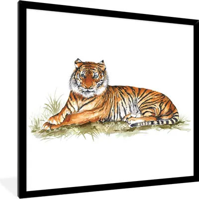 Produktbild von MuchoWow® MuchoWow® Gerahmtes Poster Tiger - Orange - Gras 40x40 cm - Poster mit zchwarzem Bilderrahmen - Mit Rahmen - Wanddekoration Schlafzimmer
