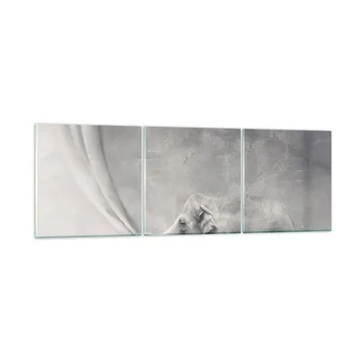 Produktbild von Bilder auf glas - Elefant Vorhang Abstraktion Phantasie - 90x30cm - Glasbilder - Wandbilder - Kunstdruck - Wanddekoration aus Glas - Glas Bilder - Wandbild auf Glas - GCA90x30-3011