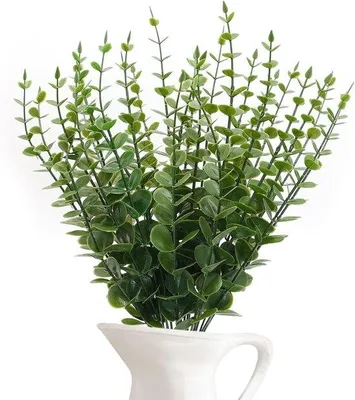 Produktbild von Künstliche Eukalyptuszweige - Dekoration - 30 Stück - Grün - 38 cm