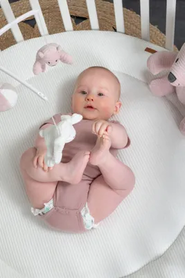 Produktbild von Baby's Only Sense Laufstallteppich Rund Caramel
