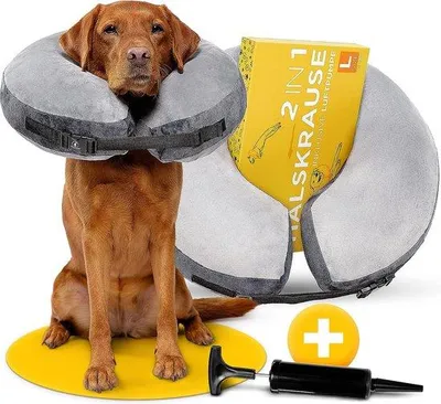 Productafbeelding van Famanu Opblaasbare halskraag voor honden en katten - Beschermkraag met optimale pasvorm