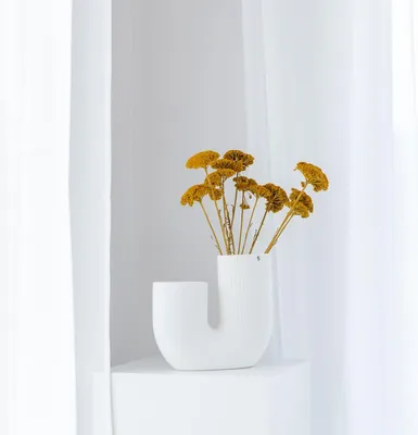 Image de Achillée séchée - Achillea - 1 bouquet (env. 45 - 55cm) - Fleurs séchées