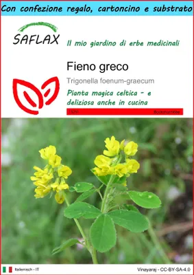 Immagine prodotto di SAFLAX Set regalo - Fieno greco - 100 semi - Trigonella