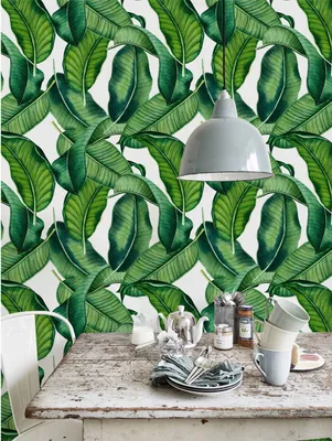 Produktbild von Coloray Fototapete 290x290 cm An Einer Wand Latex Latextapete - Botanische Blätter große Blätter