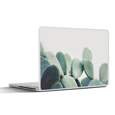 Produktbild von MuchoWow® Laptop Aufkleber Sticker Cover Kaktus - Grün - Pflanze - Natur 30x22 cm - Laptop-Sticker
