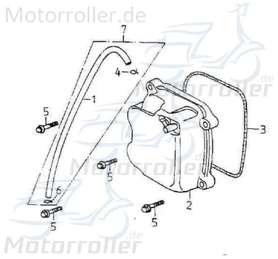 Produktbild von Blechmutter M6 Baotian BT49QT 3 Klemmmutter 50ccm 4Takt Motorroller.de Federmutter Schnappmutter 139QMB Scooter BT49QT-12E Ersatzteil Service