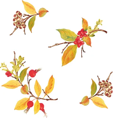 Produktbild von Airlaid Serviette Kristina, 40 x 40 cm, 50 Stück - Mank Herbst Kürbis