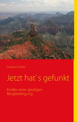 Produktbild von Jetzt hat's gefunkt