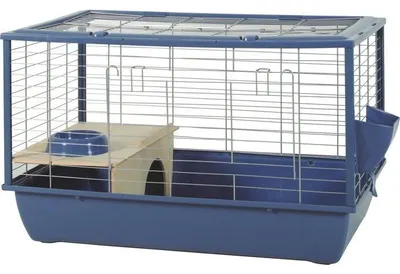 Image de ZOLUX Cage grillagée cochon d'inde et rongeur Néolife - 80 x 52,5 x 48 cm - Bleu