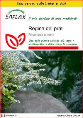 Immagine prodotto di SAFLAX Insieme di coltivazione - Regina dei prati - 500 semi - Filipendula
