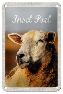 Produktbild von Blechschild Reise 12x18cm Insel Poel Urlaub Schaf Natur Weide Schild