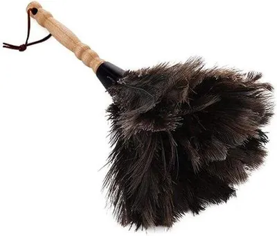 Productafbeelding van Famanu stofwisser van struisvogelveren - Antistatisch met houten handvat, 34 cm