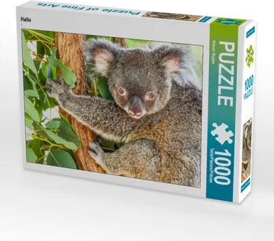 Produktbild von CALVENDO Puzzle Hallo | 1000 Teile Lege-Größe 64x48cm Foto-Puzzle für glückliche Stunden
