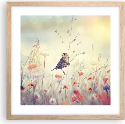 Produktbild von Gerahmtes Poster - Rahmen in heller Eiche - Vogel Wildschwein Wiese - 40x40 cm - Wand Bild - Wanddeko - Wandbilder - Wandposter - Bilderrahmen - Bilder - Kunstdruck - Wandbild - P2NAC40x40-4279