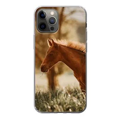 Produktbild von MuchoWow® Handyhülle Schutzhülle Hülle für iPhone 12 Pro Pferd - Licht - Wiese Silikon Softcase Handy Hülle - Abdeckung