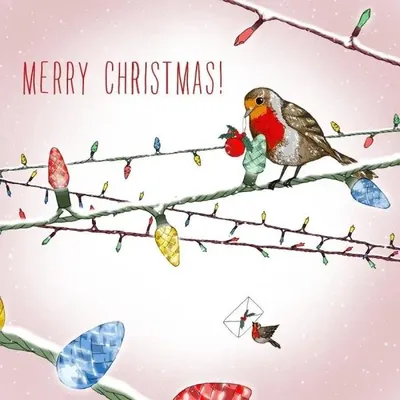 Produktbild von Swarovski-Dekorationsset "Weihnachts Vogel" – Clear Creations