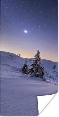Produktbild von MuchoWow® Poster Winter - Schnee - Nacht - Bäume 20x40 cm - Plakat - Foto