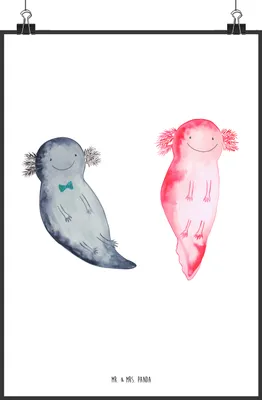 Produktbild von Mr. & Mrs. Panda Bild Axolotl Freundin DIN A1 - Weiß - Geschenk, wanddeko, Wandbild, drucke, Lurch, kunstdruck poster, Liebe, Plakat