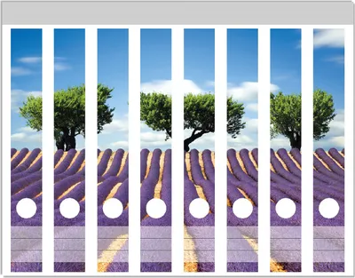Produktbild von Wallario Ordnerrücken Sticker, selbstklebend für schmale Ordner, 8 Stück, Motiv Abstraktes lila Blumenfeld mit Lavendel