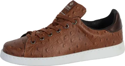 Obrázek produktu pro Bota