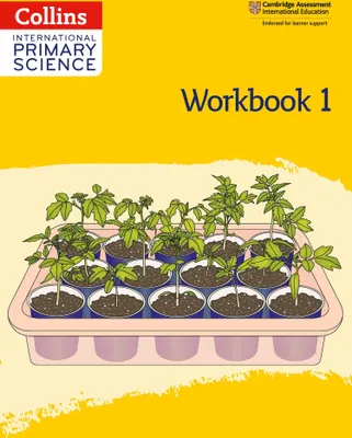 Produktbild von International Primary Science Workbook: Stage 1