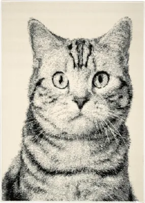 Image de Tapis Cat grey, 160 x 230 cm