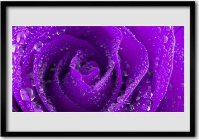 Produktbild von Bild 100x70 MDF-Rahmen Wandkunst Rose-Blumen-Anlage