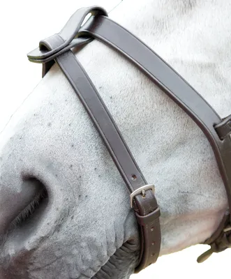 Immagine prodotto di Blenheim - Fascia da naso in pelle ER295 (Pony) (Marrone)