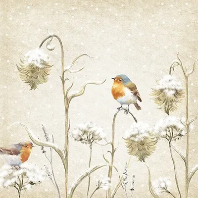 Produktbild von 20 Servietten Robin in Thistles - Vogel auf Winterdisteln 33x33cm