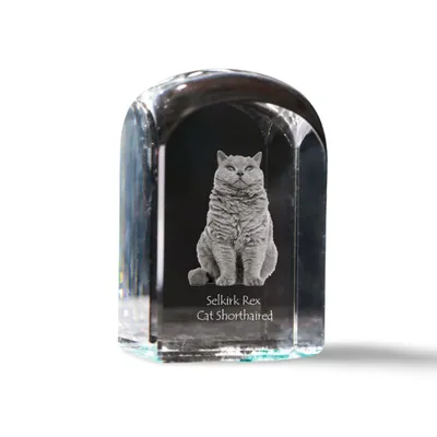 Immagine prodotto di Selkirk Rex Gatto a pelo corto - cubo di cristallo con immagine, immagine di gatto in cristallo, pulsante cubico su carta del marchio Art-Dog