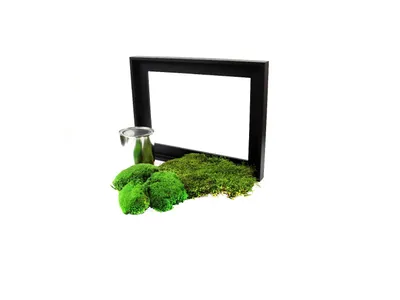 Obrázek produktu pro Gardners Mechový obraz "Vyrob si sám" 30x40 cm kombinovaný mech kopečkový s plochým, černá