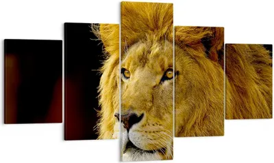 Produktbild von Bild auf Leinwand - Leinwandbild - Löwe Tiere Tierwelt - 125x70cm - Wand Bild - Wanddeko - Leinwanddruck - Bilder - Kunstdruck - Wanddekoration - Leinwand bilder - Wandkunst - EA125x70-1237