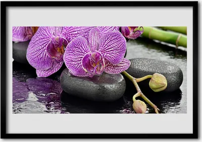 Produktbild von Bild 100x70 MDF-Rahmen Wandkunst Orchid Orchid Zen Spa