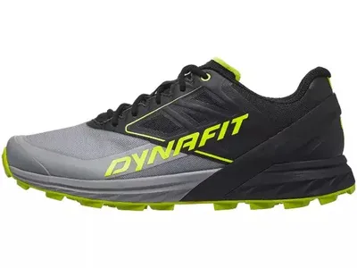 Produktbild von Herren Dynafit Alpine Laufschuhe 46.5