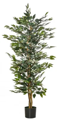 Image de Ficus artificiel | Couleur : Vert | Dimensions : 112 x 112 x 244 cm