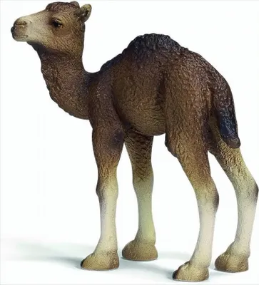 Image de Schleich 14356 Poulain dromadaire