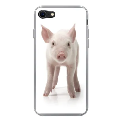 Produktbild von MuchoWow® Handyhülle Schutzhülle Hülle für iPhone 8 Schwein - Tiere - Weiß Silikon Softcase Handy Hülle - Schutzhaube