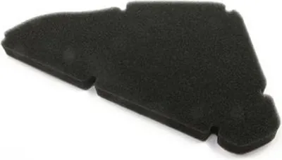Imagen del producto de Filtro de aire ATHENA S410170200002