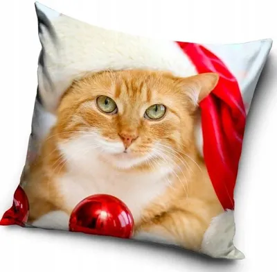 Image de Carbotex Coussin décoratif Noël Chat 40x40 cm