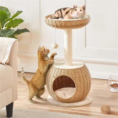 Two cats interacting with a cat tree in a living room setting.