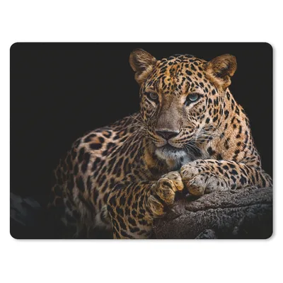 Produktbild von MuchoWow® Mauspad Mousepad Wildtiere - Panther - Porträt - Schwarz - Tiere 40x30 cm - Mousepads - Maus Mat - Pad - Mausunterlage - Anti Rutsch